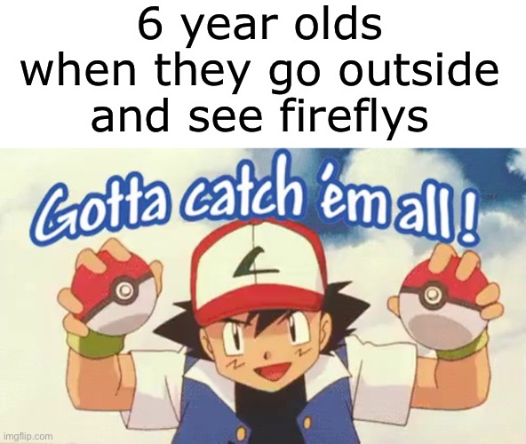 Gotta catch em all | 6 year olds when they go outside and see fireflys | image tagged in gotta catch em all,pokemon,firefly | made w/ Imgflip meme maker