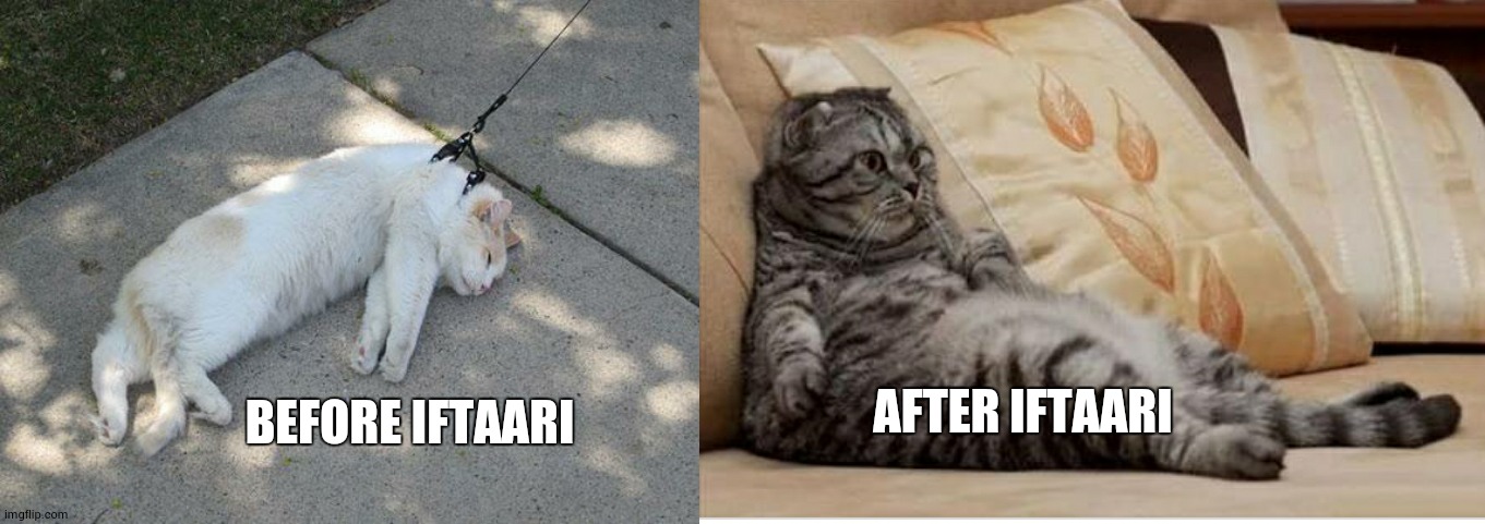 BEFORE IFTAARI; AFTER IFTAARI | image tagged in lazy cat | made w/ Imgflip meme maker