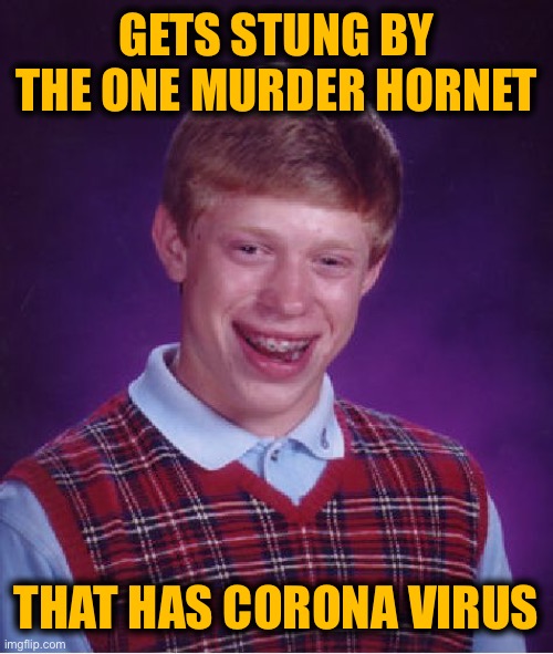 Bad Luck Brian | GETS STUNG BY THE ONE MURDER HORNET; THAT HAS CORONA VIRUS | image tagged in memes,bad luck brian,corona virus,covid19,murder hornet,apocalypse | made w/ Imgflip meme maker