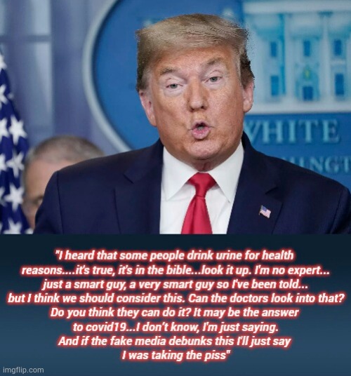 Trump speaks | image tagged in donald trump | made w/ Imgflip meme maker