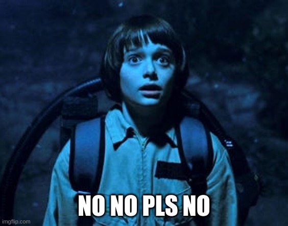 Will Byers | NO NO PLS NO | image tagged in will byers | made w/ Imgflip meme maker