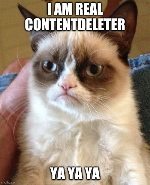 Grumpy Cat Meme | I AM REAL CONTENTDELETER; YA YA YA | image tagged in memes,grumpy cat | made w/ Imgflip meme maker