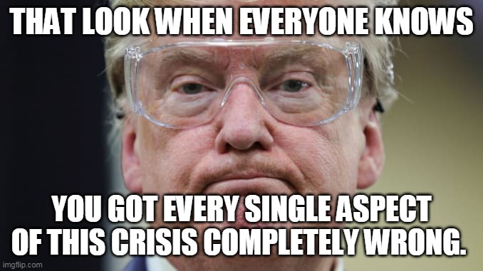 trump wrong maga honeywell goggles wanker | THAT LOOK WHEN EVERYONE KNOWS; YOU GOT EVERY SINGLE ASPECT OF THIS CRISIS COMPLETELY WRONG. | image tagged in trump goggles | made w/ Imgflip meme maker