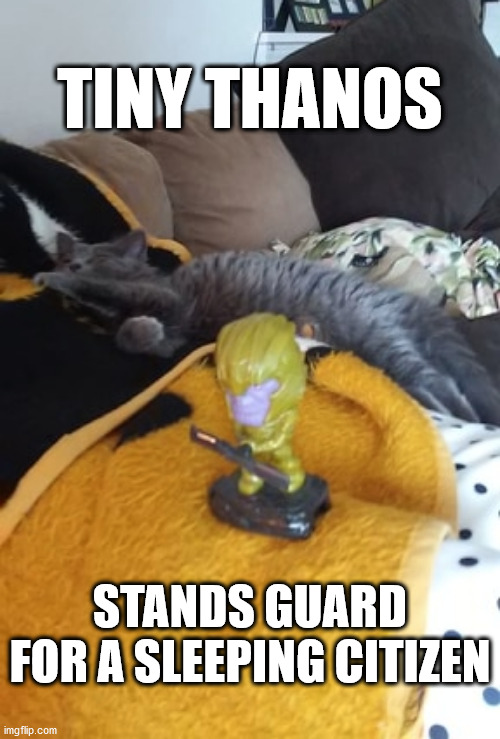 Tiny Thanos protects the children | TINY THANOS; STANDS GUARD FOR A SLEEPING CITIZEN | image tagged in tiny thanos protects the children | made w/ Imgflip meme maker
