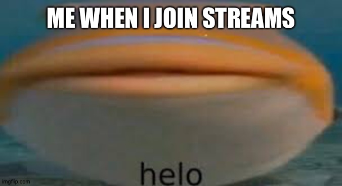 Fish Helo | ME WHEN I JOIN STREAMS | image tagged in fish helo | made w/ Imgflip meme maker