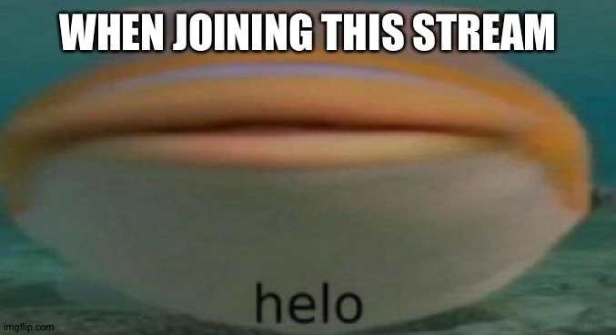 helo | WHEN JOINING THIS STREAM | image tagged in helo | made w/ Imgflip meme maker