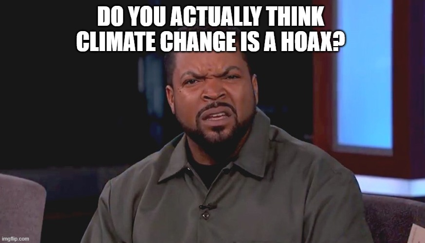 Really? Ice Cube | DO YOU ACTUALLY THINK CLIMATE CHANGE IS A HOAX? | image tagged in really ice cube | made w/ Imgflip meme maker