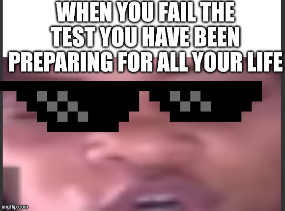 When You Loose | WHEN YOU FAIL THE TEST YOU HAVE BEEN PREPARING FOR ALL YOUR LIFE | image tagged in when you loose | made w/ Imgflip meme maker