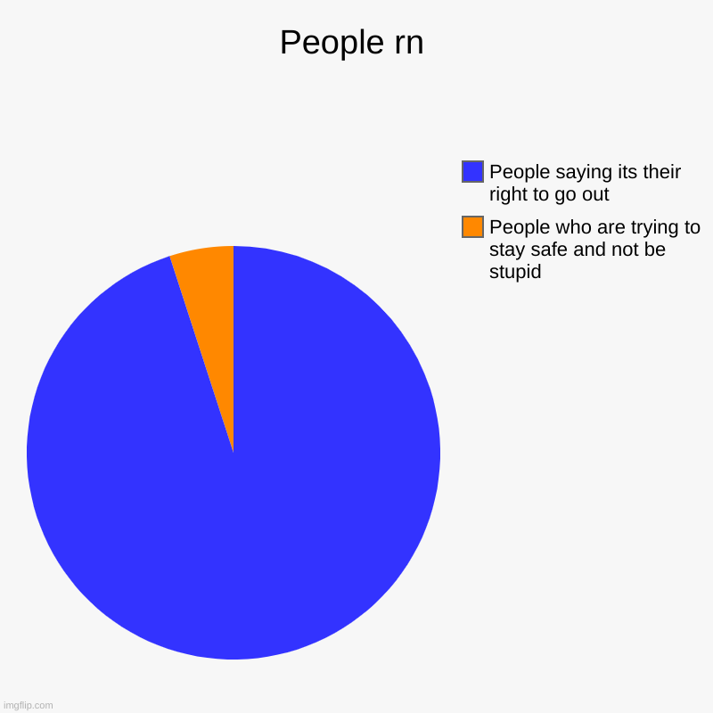 People rn | People who are trying to stay safe and not be stupid, People saying its their right to go out | image tagged in charts,pie charts | made w/ Imgflip chart maker
