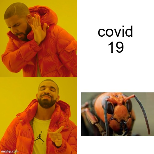 Drake Hotline Bling | covid 19 | image tagged in memes,drake hotline bling,covid 19,murder hornet,murder hornets,stop the murder hornets | made w/ Imgflip meme maker