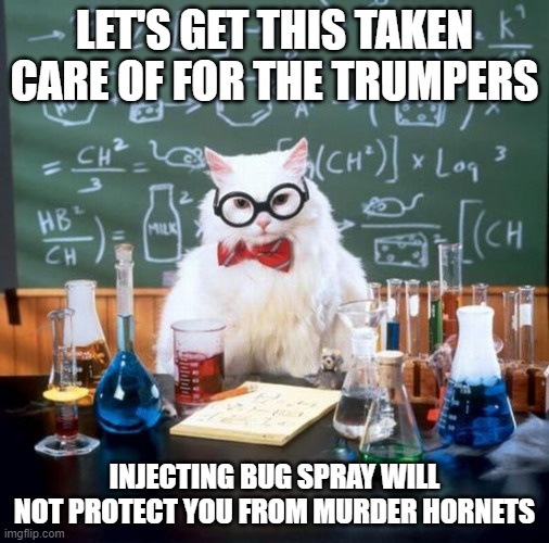 Science Cat | LET'S GET THIS TAKEN CARE OF FOR THE TRUMPERS; INJECTING BUG SPRAY WILL NOT PROTECT YOU FROM MURDER HORNETS | image tagged in memes,chemistry cat,stupid conservatives,donald trump is an idiot | made w/ Imgflip meme maker