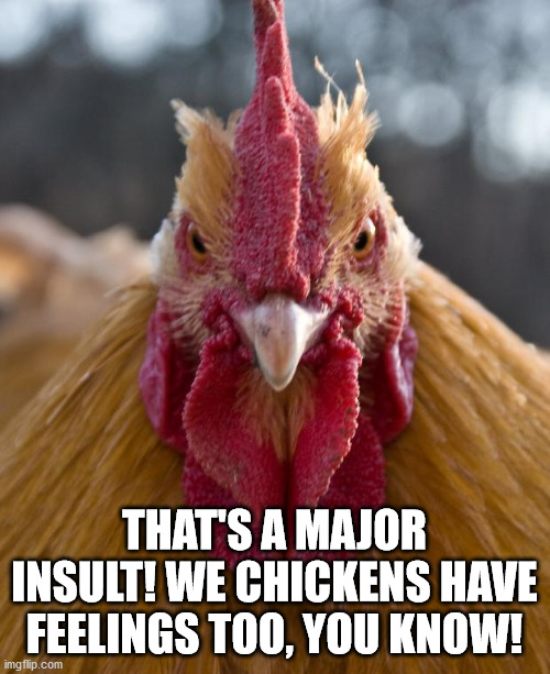 Angry Chicken | THAT'S A MAJOR INSULT! WE CHICKENS HAVE FEELINGS TOO, YOU KNOW! | image tagged in angry chicken | made w/ Imgflip meme maker