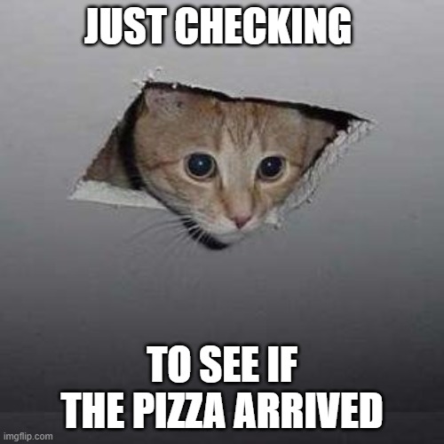 me when i'm watching something | JUST CHECKING; TO SEE IF THE PIZZA ARRIVED | image tagged in memes,ceiling cat | made w/ Imgflip meme maker