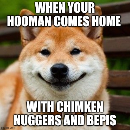 Chimken nuggers and bepis | WHEN YOUR HOOMAN COMES HOME; WITH CHIMKEN NUGGERS AND BEPIS | image tagged in when your hooman comes home with chimken nuggers and bepis,memes,doggo,chicken nuggets,doge,shiba inu | made w/ Imgflip meme maker