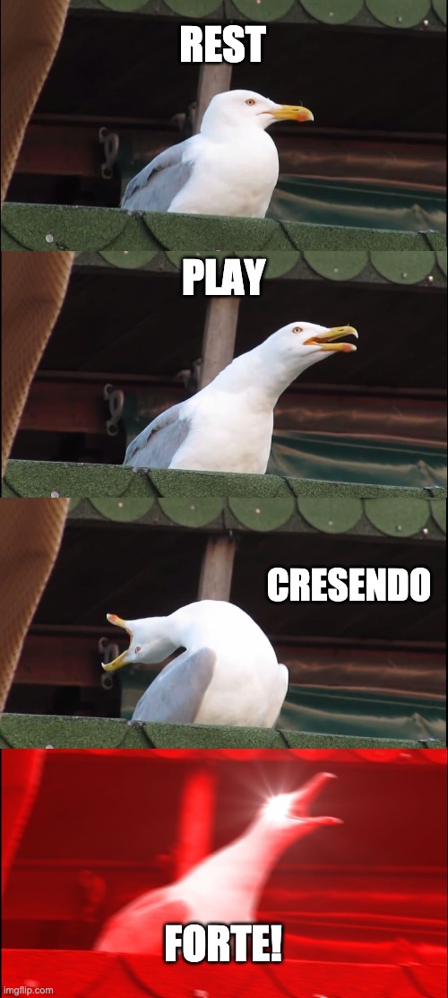 seagulls | REST; PLAY; CRESENDO; FORTE! | image tagged in memes,inhaling seagull | made w/ Imgflip meme maker