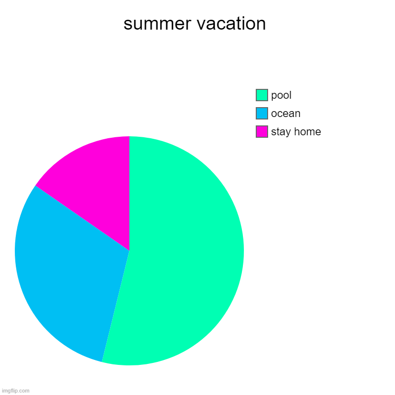 summer vacation | stay home, ocean, pool | image tagged in charts,pie charts | made w/ Imgflip chart maker
