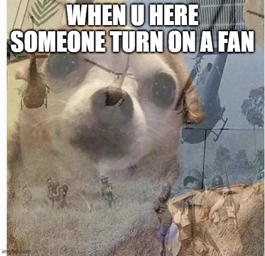 PTSD Chihuahua | WHEN U HERE SOMEONE TURN ON A FAN | image tagged in ptsd chihuahua | made w/ Imgflip meme maker