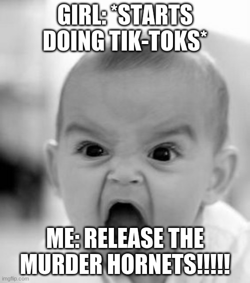 Angry Baby Meme | GIRL: *STARTS DOING TIK-TOKS*; ME: RELEASE THE MURDER HORNETS!!!!! | image tagged in memes,angry baby | made w/ Imgflip meme maker