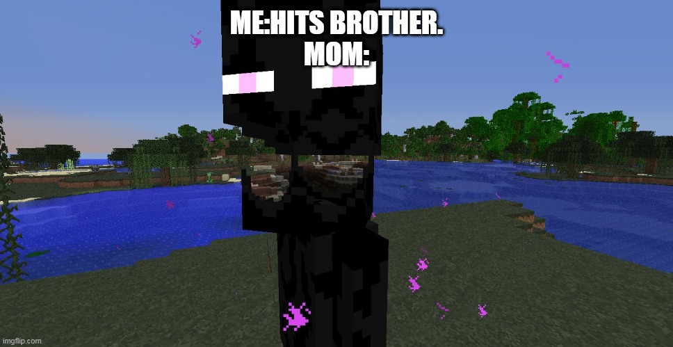 endiemum | ME:HITS BROTHER.
MOM: | image tagged in endermeme | made w/ Imgflip meme maker