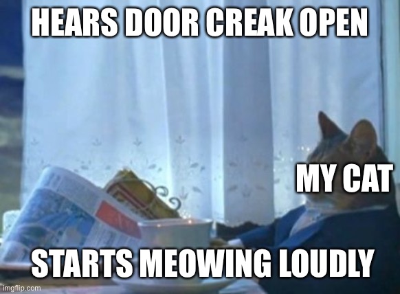 I Should Buy A Boat Cat | HEARS DOOR CREAK OPEN; MY CAT; STARTS MEOWING LOUDLY | image tagged in memes,i should buy a boat cat | made w/ Imgflip meme maker