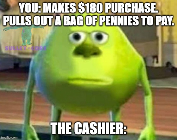 Monsters Inc | YOU: MAKES $180 PURCHASE. PULLS OUT A BAG OF PENNIES TO PAY. THE CASHIER: | image tagged in monsters inc | made w/ Imgflip meme maker