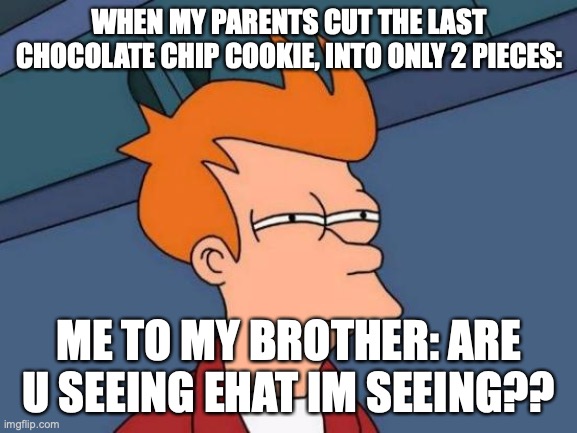 Futurama Fry | WHEN MY PARENTS CUT THE LAST CHOCOLATE CHIP COOKIE, INTO ONLY 2 PIECES:; ME TO MY BROTHER: ARE U SEEING EHAT IM SEEING?? | image tagged in memes,futurama fry | made w/ Imgflip meme maker