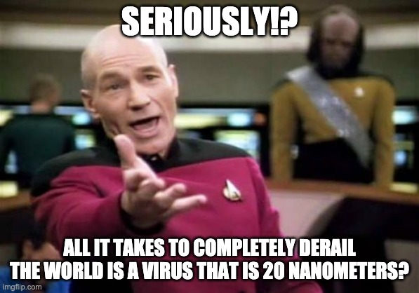 stupid virus | SERIOUSLY!? ALL IT TAKES TO COMPLETELY DERAIL THE WORLD IS A VIRUS THAT IS 20 NANOMETERS? | image tagged in memes,picard wtf | made w/ Imgflip meme maker