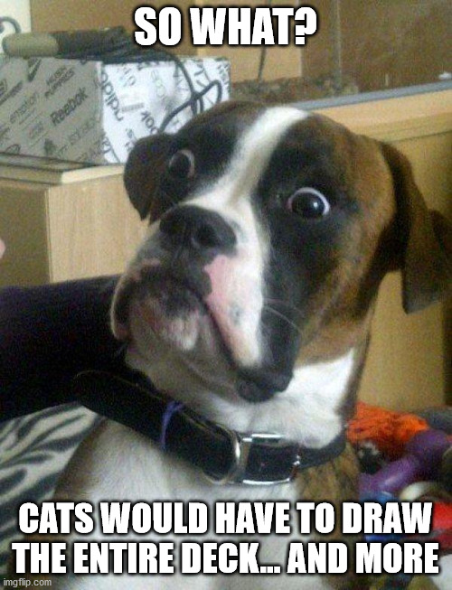 Blankie the Shocked Dog | SO WHAT? CATS WOULD HAVE TO DRAW THE ENTIRE DECK... AND MORE | image tagged in blankie the shocked dog | made w/ Imgflip meme maker