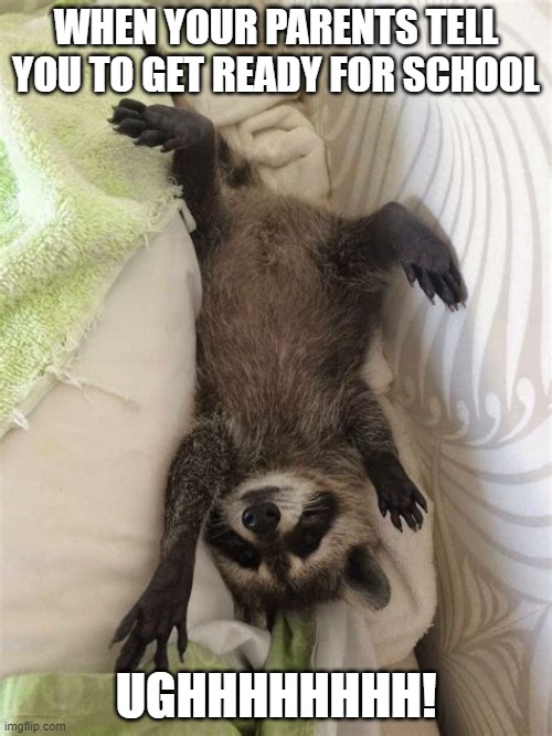 TIRED! | WHEN YOUR PARENTS TELL YOU TO GET READY FOR SCHOOL; UGHHHHHHHH! | image tagged in bed,tired,funny,animal,funny animal,meme | made w/ Imgflip meme maker