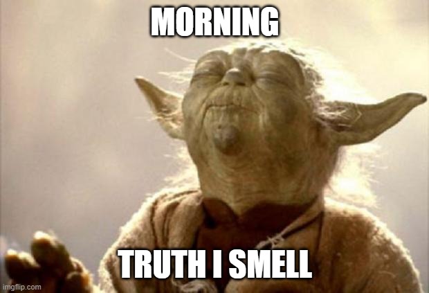 yoda smell | MORNING TRUTH I SMELL | image tagged in yoda smell | made w/ Imgflip meme maker