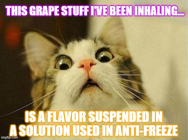 Scared Cat | THIS GRAPE STUFF I'VE BEEN INHALING... IS A FLAVOR SUSPENDED IN A SOLUTION USED IN ANTI-FREEZE | image tagged in memes,scared cat | made w/ Imgflip meme maker
