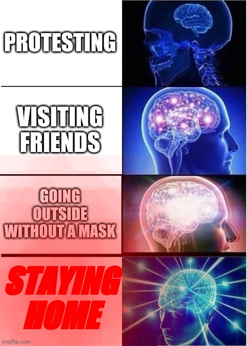Expanding Brain Meme | PROTESTING VISITING FRIENDS GOING OUTSIDE WITHOUT A MASK STAYING HOME | image tagged in memes,expanding brain | made w/ Imgflip meme maker