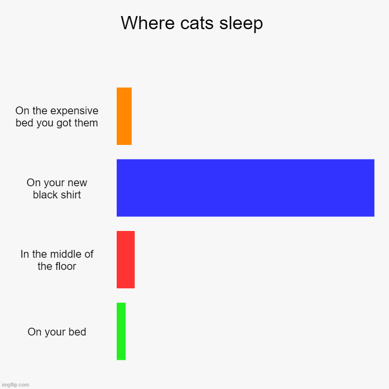 How cats sleep: reality | Where cats sleep | On the expensive bed you got them, On your new black shirt, In the middle of the floor, On your bed | image tagged in charts,bar charts | made w/ Imgflip chart maker