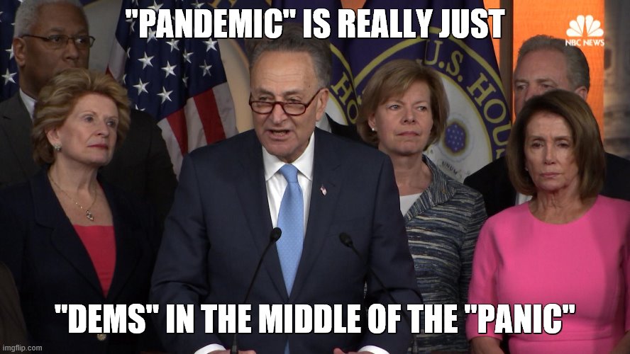 Democrat congressmen | "PANDEMIC" IS REALLY JUST "DEMS" IN THE MIDDLE OF THE "PANIC" | image tagged in democrat congressmen | made w/ Imgflip meme maker