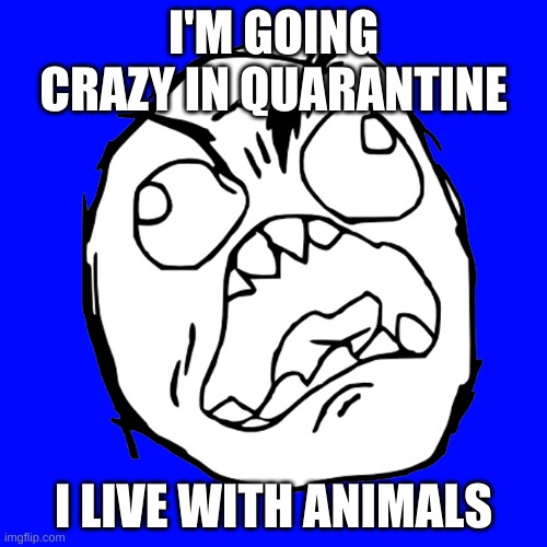 i'm fix'n to go crazy | I'M GOING CRAZY IN QUARANTINE; I LIVE WITH ANIMALS | image tagged in i'm fix'n to go crazy | made w/ Imgflip meme maker