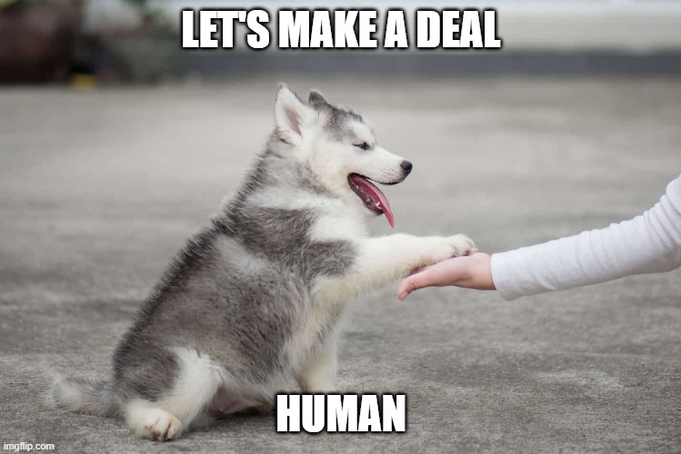 LET'S MAKE A DEAL; HUMAN | made w/ Imgflip meme maker