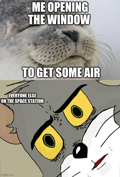 dummyy | ME OPENING THE WINDOW; TO GET SOME AIR; EVERYONE ELSE ON THE SPACE STATION | image tagged in memes,satisfied seal,unsettled tom | made w/ Imgflip meme maker