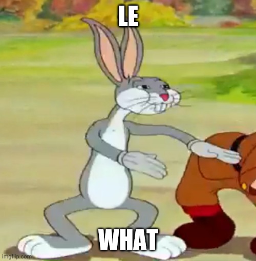 What | LE; WHAT | image tagged in what | made w/ Imgflip meme maker