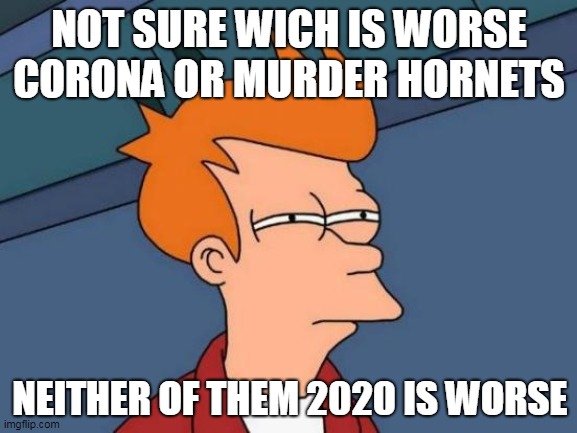 2020 | NOT SURE WICH IS WORSE CORONA OR MURDER HORNETS; NEITHER OF THEM 2020 IS WORSE | image tagged in memes,futurama fry | made w/ Imgflip meme maker