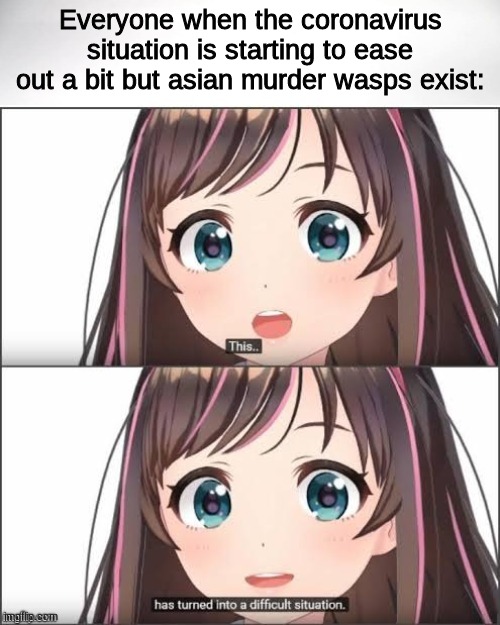 This has turned into a difficult situation | Everyone when the coronavirus situation is starting to ease out a bit but asian murder wasps exist: | image tagged in this has turned into a difficult situation,coronavirus,asian murder wasps | made w/ Imgflip meme maker