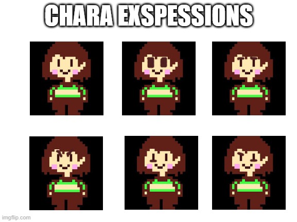 Blank White Template | CHARA EXSPESSIONS | image tagged in blank white template | made w/ Imgflip meme maker