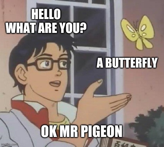 Its a butterfly | HELLO WHAT ARE YOU? A BUTTERFLY; OK MR PIGEON | image tagged in memes,is this a pigeon | made w/ Imgflip meme maker