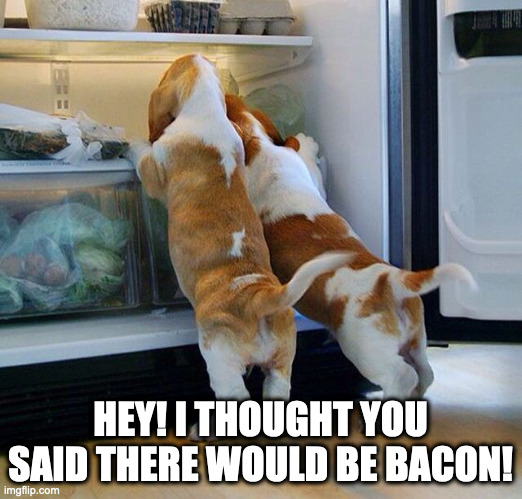 Puppies | HEY! I THOUGHT YOU SAID THERE WOULD BE BACON! | image tagged in puppies,cute puppies,puppy love | made w/ Imgflip meme maker