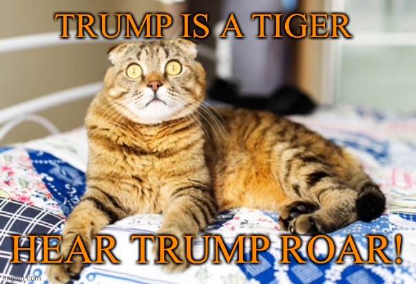 TRUMP IS A TIGER HEAR TRUMP ROAR! | made w/ Imgflip meme maker