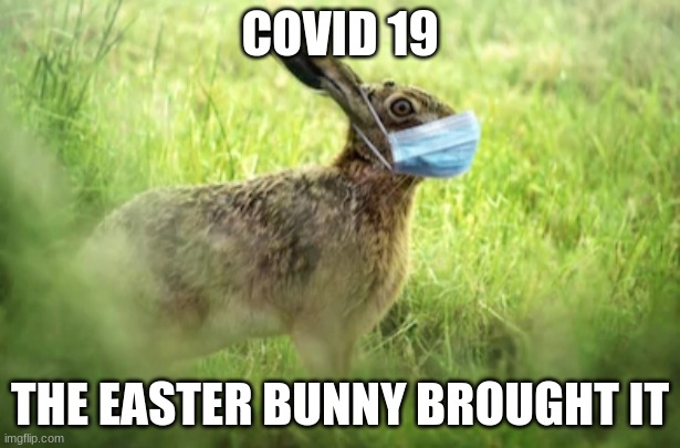 Corona Bunny | COVID 19; THE EASTER BUNNY BROUGHT IT | image tagged in corona bunny | made w/ Imgflip meme maker
