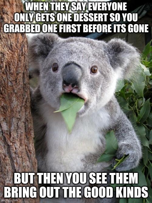 Surprised Koala Meme | WHEN THEY SAY EVERYONE ONLY GETS ONE DESSERT SO YOU GRABBED ONE FIRST BEFORE ITS GONE; BUT THEN YOU SEE THEM BRING OUT THE GOOD KINDS | image tagged in memes,surprised koala | made w/ Imgflip meme maker