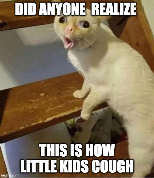 little kids | DID ANYONE  REALIZE; THIS IS HOW LITTLE KIDS COUGH | image tagged in funny,cats | made w/ Imgflip meme maker