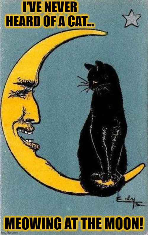 Hey Diddle Diddle, the Cow & the fiddle. The Cat jumped over the Moon | I'VE NEVER HEARD OF A CAT... MEOWING AT THE MOON! | image tagged in vince vance,cats,crescent,moon,funny cat memes,new memes | made w/ Imgflip meme maker