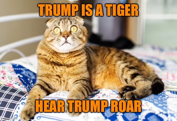 TRUMP IS A TIGER HEAR TRUMP ROAR | made w/ Imgflip meme maker