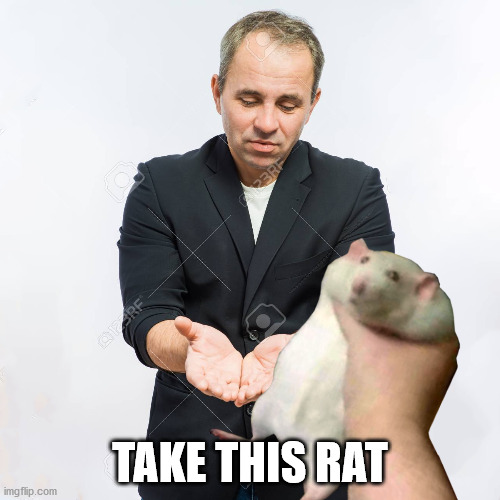 please sire | TAKE THIS RAT | image tagged in fat rat,rat,funny | made w/ Imgflip meme maker